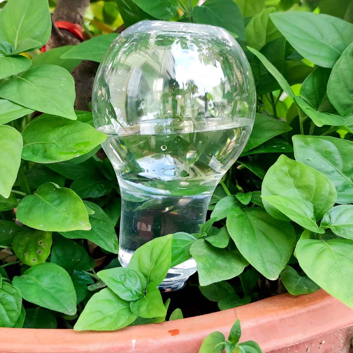 Garden Automatic Watering Tool - Smart Garden Kit 评论和价格