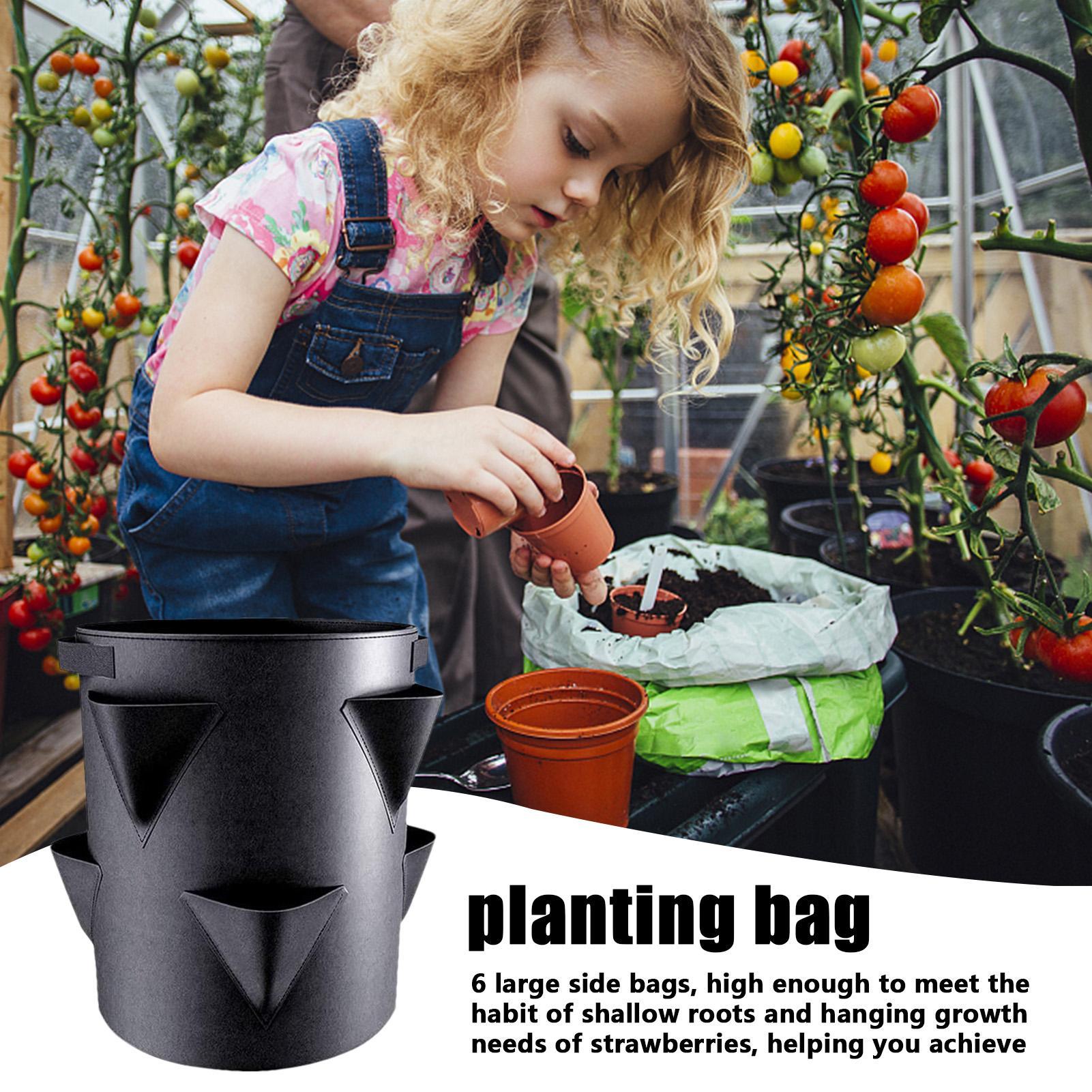 7 Gallons Strawberry Planting  - Vertical Planter Tower 评论和价格