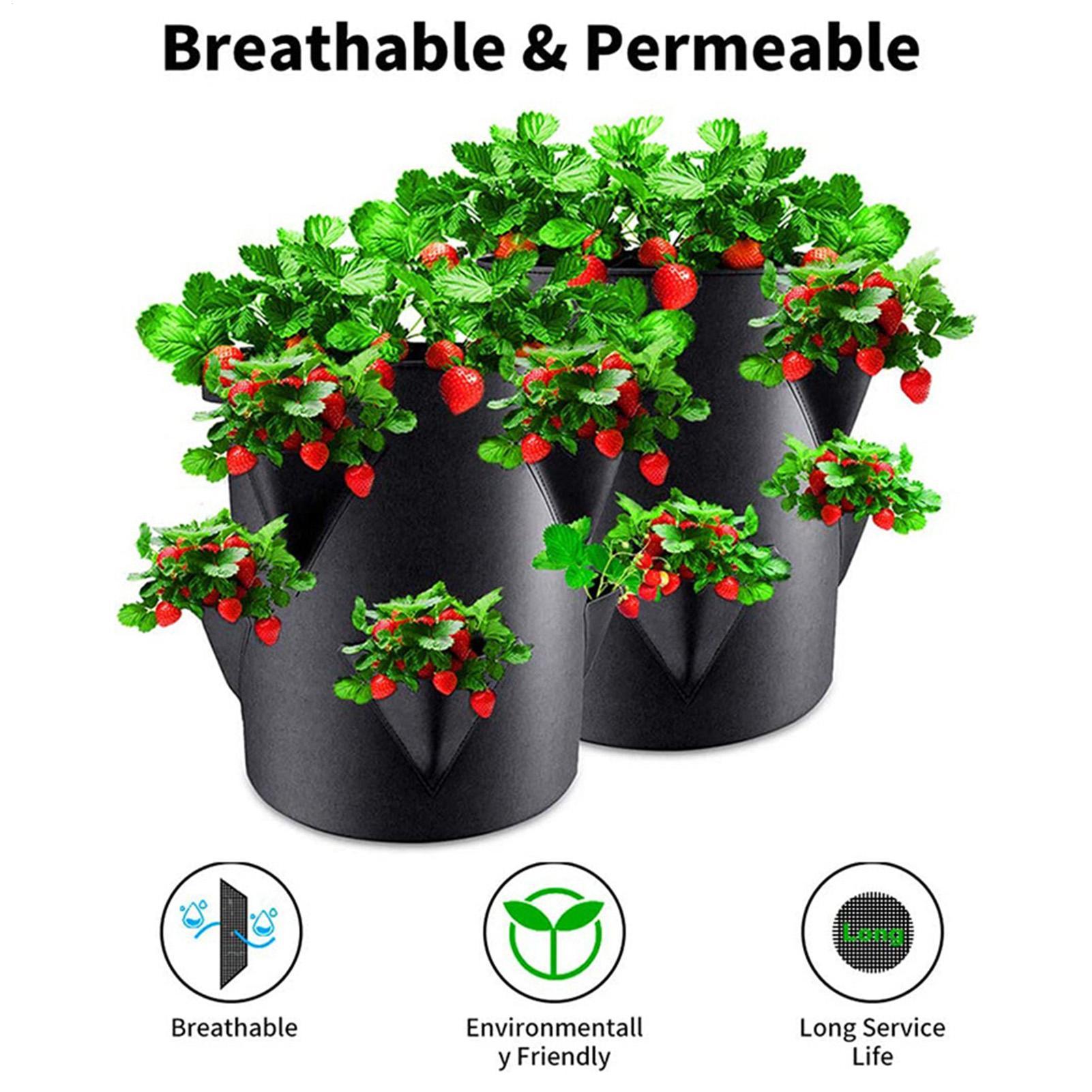 7 Gallons Strawberry Planting  - Vertical Planter Tower 评论和价格
