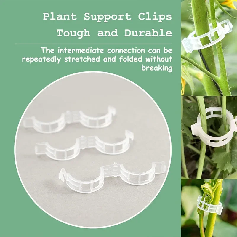 100PCS Plant Fixing Clips Reus - Smart Garden Kit 评论和价格