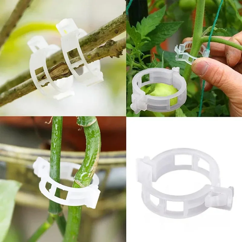 100PCS Plant Fixing Clips Reus - Smart Garden Kit 评论和价格