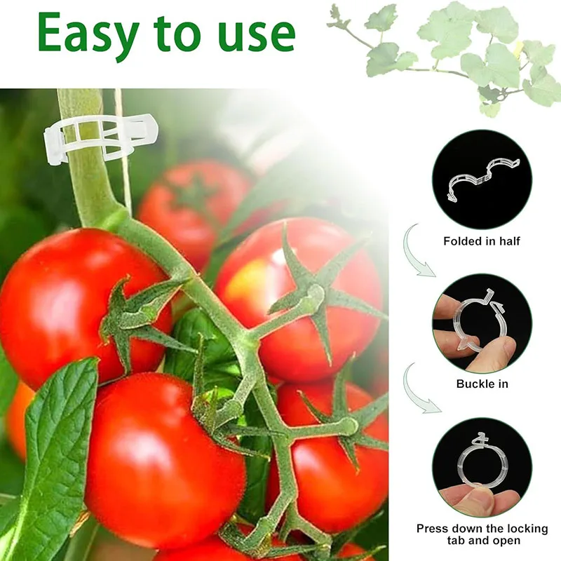 100PCS Plant Fixing Clips Reus - Smart Garden Kit 评论和价格