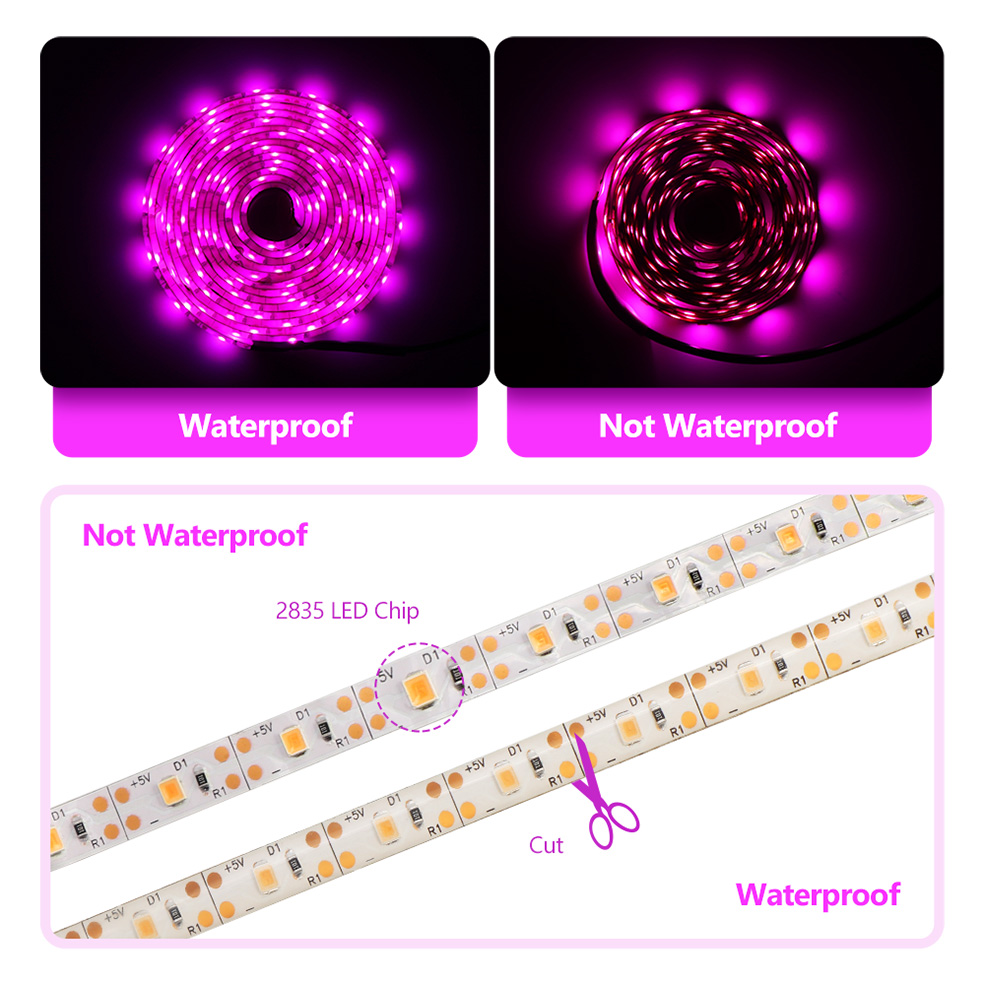 USB Full Spectrum LED Grow Lig - Led Plant Light Strip 评论和价格