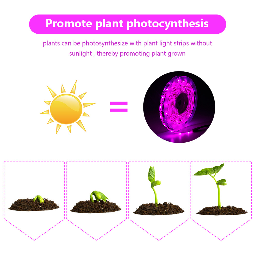 USB Full Spectrum LED Grow Lig - Led Plant Light Strip 评论和价格
