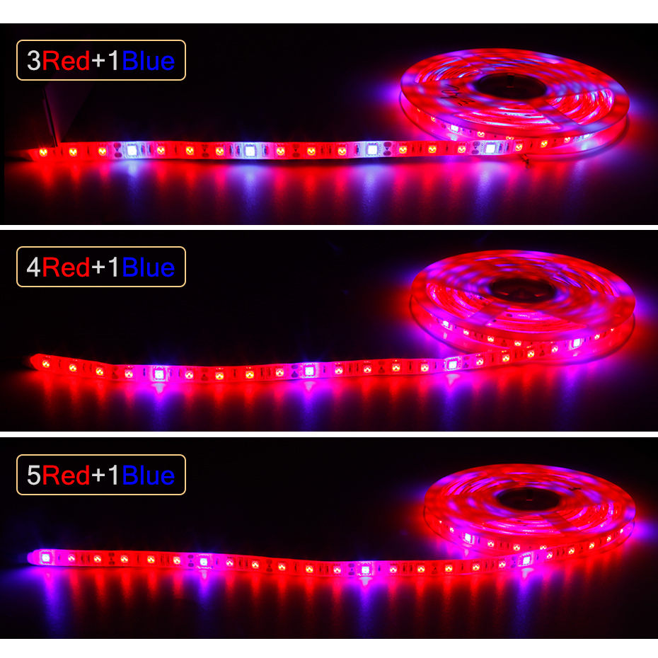 DC 12V LED Strip Grow Light Fu - Led Plant Light Strip 评论和价格