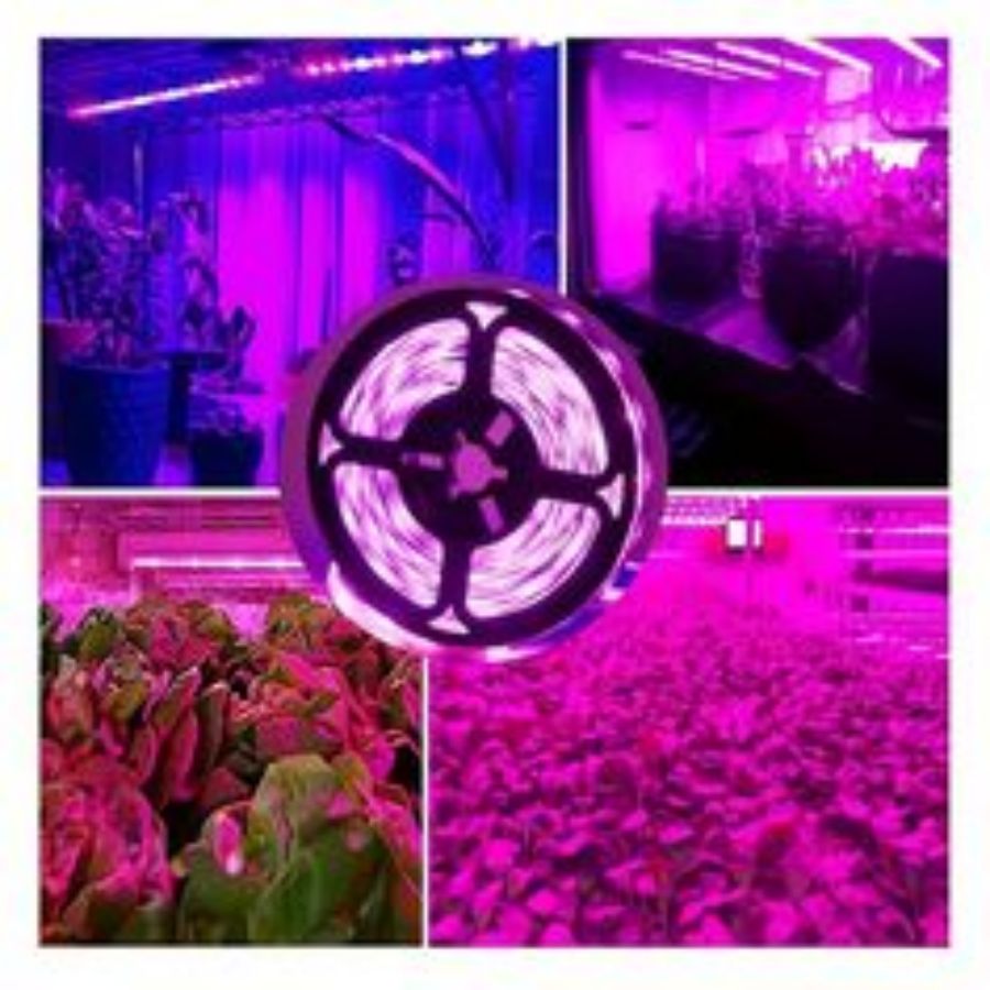 1M/2M/3M/5M/10M LED Full Spect - Led Plant Light Strip 评论和价格